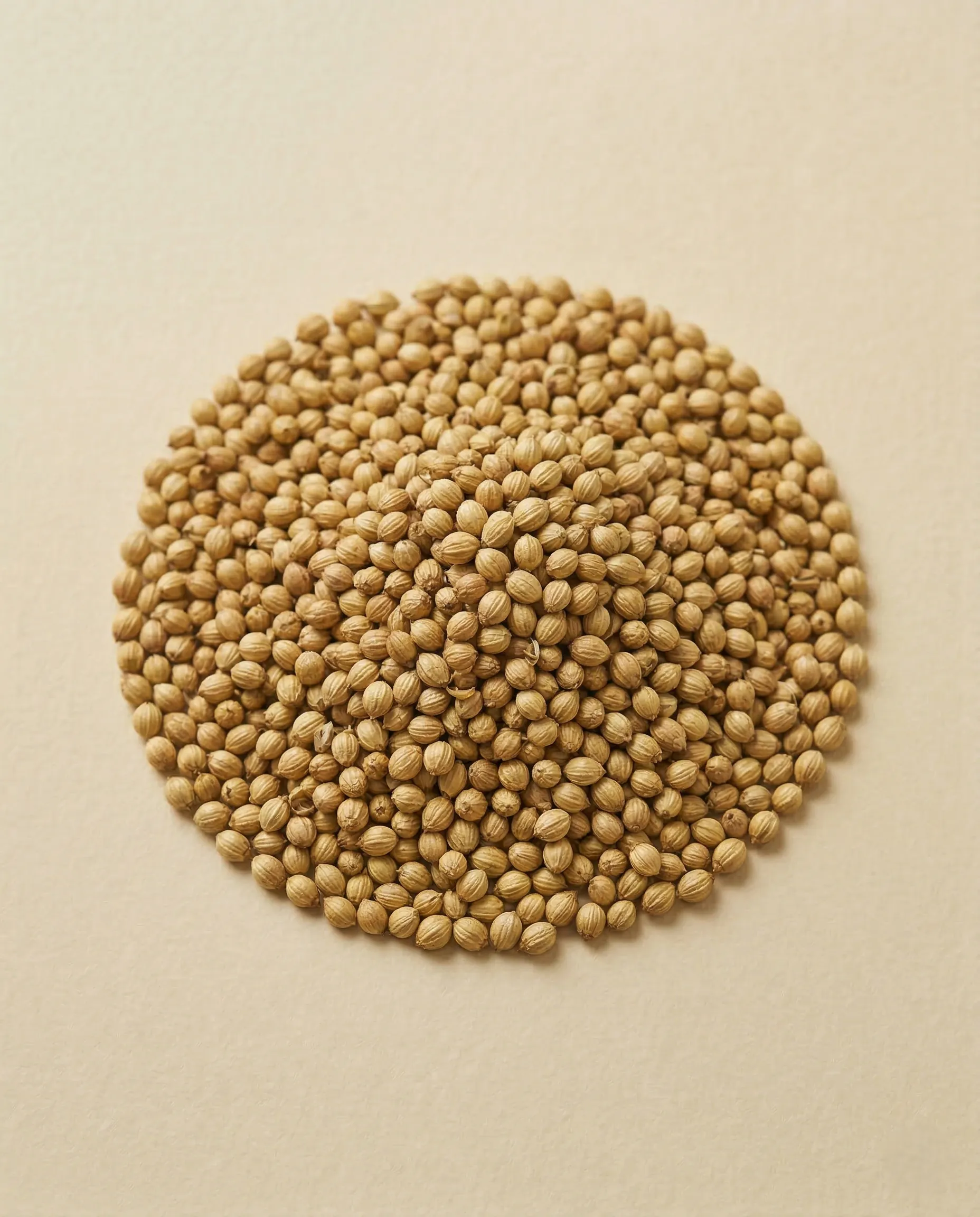 Coriander Seeds